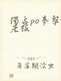 独占po拳击馆老板