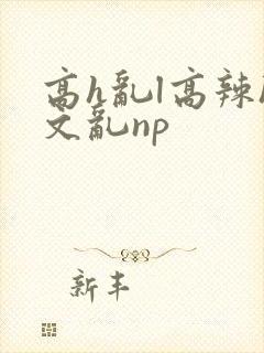 高h乱l高辣h文乱np