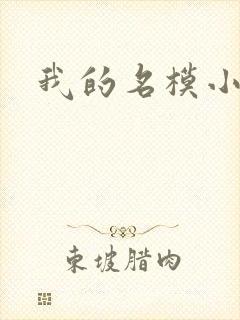我的名模小娇妻封面