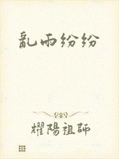 乱雨纷纷封面