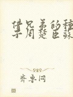 借兄弟的种生孩子周楚臣苏糖