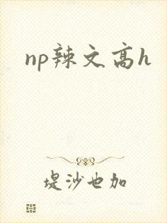 np辣文高h