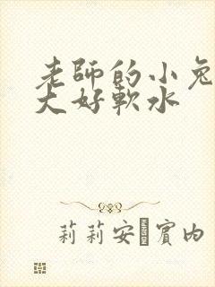 老师的小兔子好大好软水封面