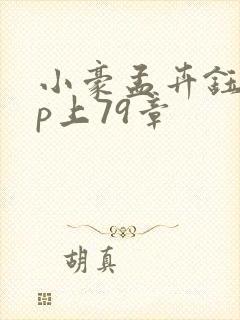 小豪孟卉钰慧三p上79章