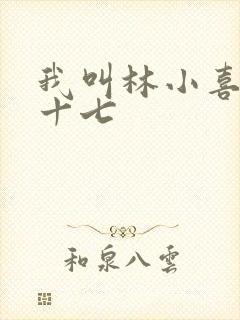我叫林小喜今年十七封面