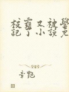 校霸又被学神标记了小说免费阅读