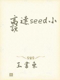 高达seed小说