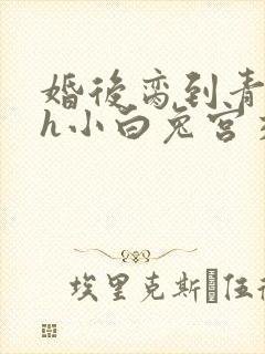 婚后脔到青梅哭h小白兔宫交h