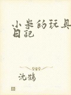 小米的玩具羞辱日记