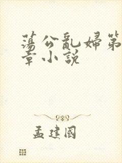 荡公乱妇第51章小说