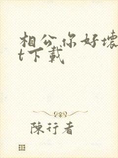 相公你好坏txt下载