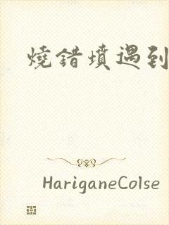 烧错坟遇到鬼封面