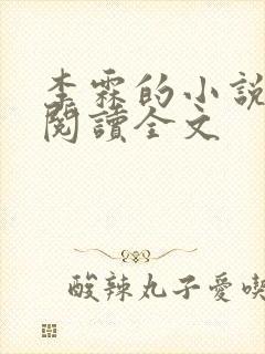 李霖的小说免费阅读全文