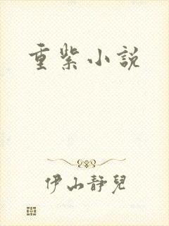 重紫小说