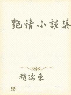 艳情小说集封面