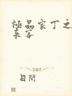 极品家丁之远方来客