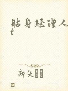 贴身经理人txt封面