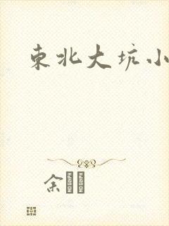 东北大坑小说