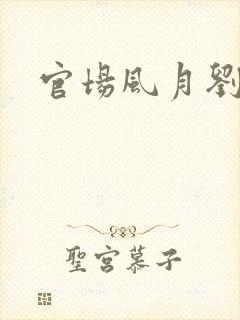 官场风月刘明强封面