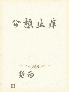 公憩止痒封面