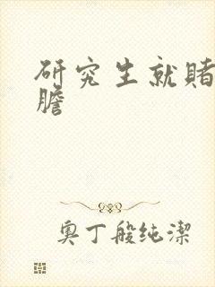 研究生就赌一个胆封面