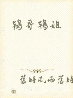 鸨哥鸨姐