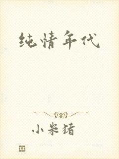 纯情年代封面