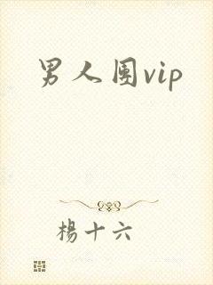 男人团vip