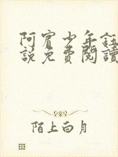 阿宾少年钰慧小说免费阅读笔趣阁封面