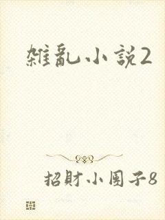 杂乱小说2