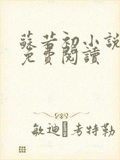 苏若初小说全文免费阅读封面