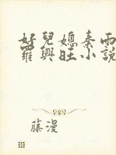 好儿媳秦雨罗明罗兴旺小说