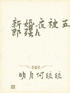 新婚夜被五个伴郎强h