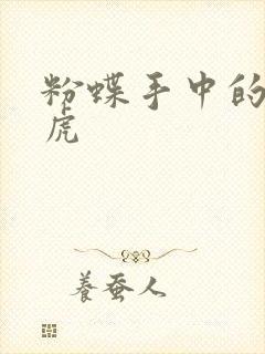 粉蝶手中的纸老虎封面