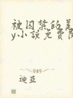 被囚禁的美人by小说免费阅读