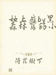 她上瘾by黑暗森林写的小说免费阅读无弹窗