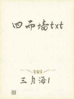 四面墙txt