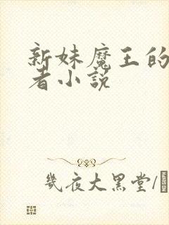 新妹魔王的契约者小说