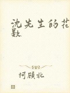 沈先生的花式调数