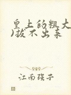 皇上的粗大(h)拔不出来封面