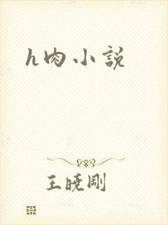 h肉小说