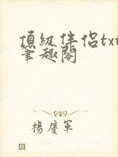 顶级伴侣txt笔趣阁封面