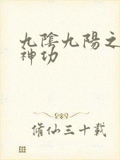 九阴九阳之阴阳神功封面