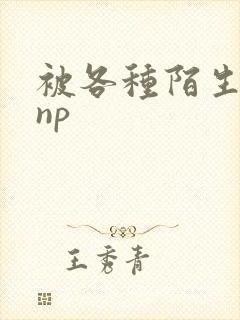 被各种陌生人 np