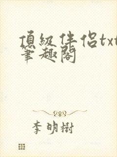 顶级伴侣txt笔趣阁