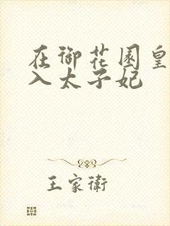 在御花园皇上进入太子妃封面