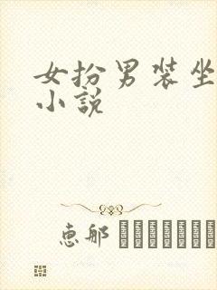 女扮男装坐江山小说