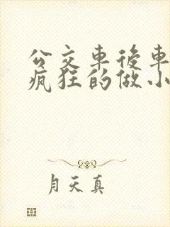 公交车后车座的疯狂的做小封面