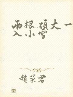 两根硕大一起挤入小雪