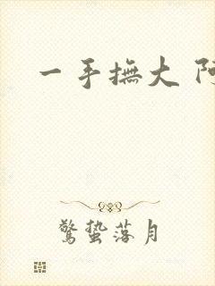 一手抚大 阿司封面